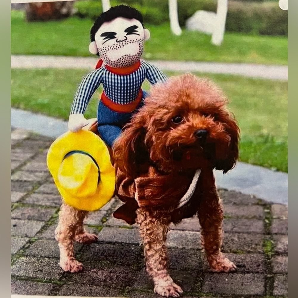 Funny Cowboy Riding Dog Halloween Costume Sz L